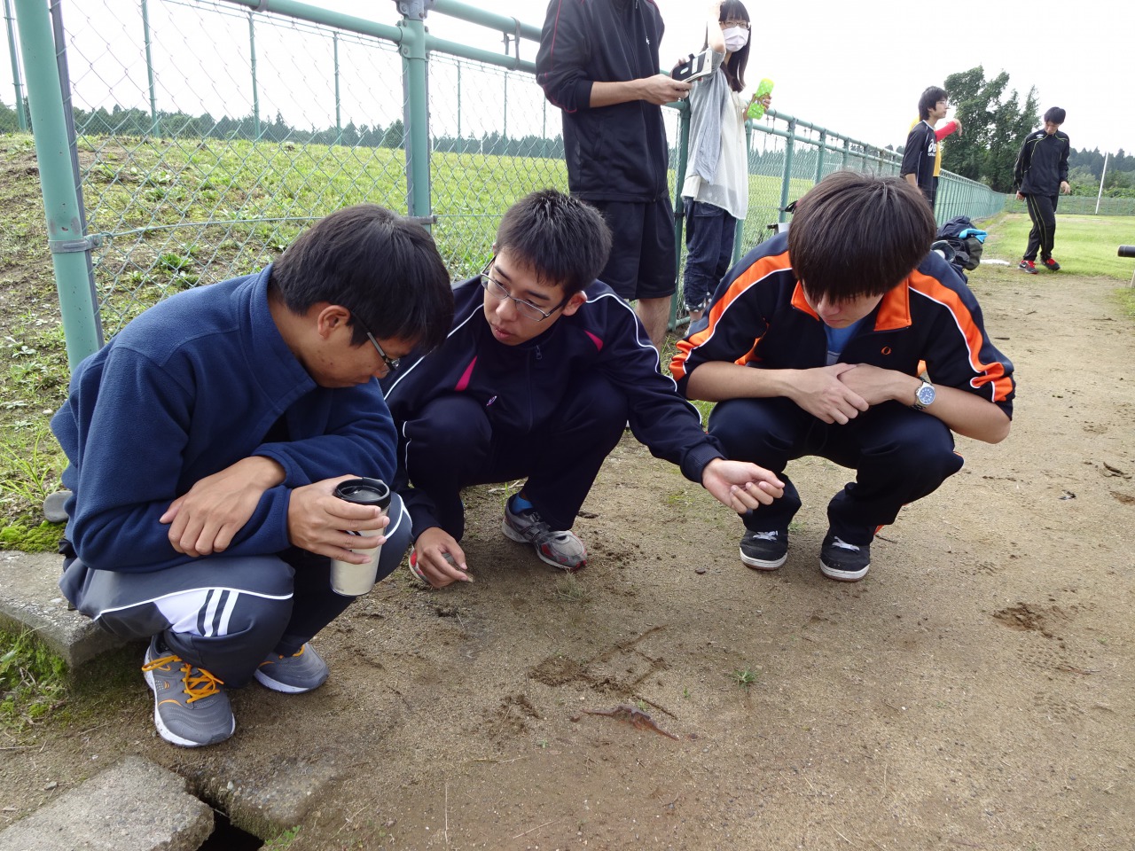 a8.jpg