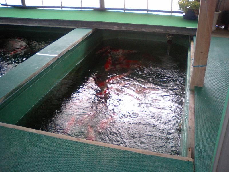 A02.jpg