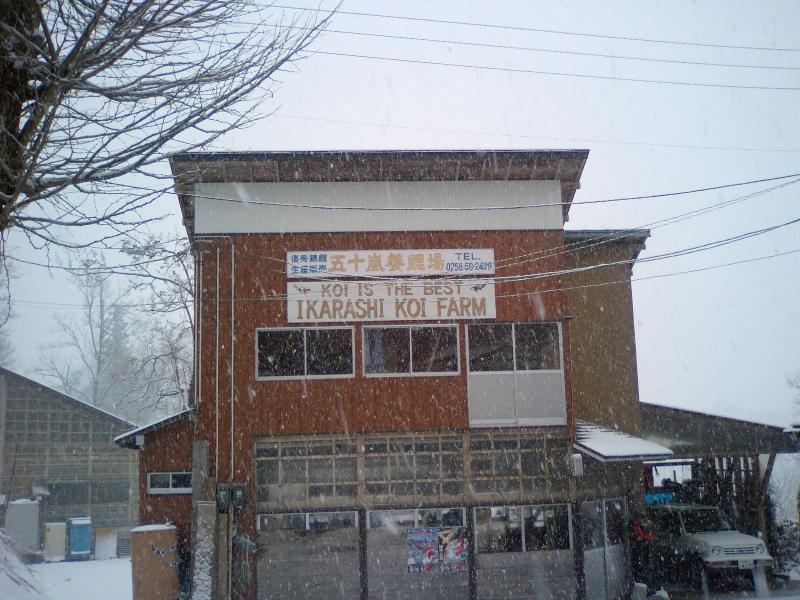 A12.jpg