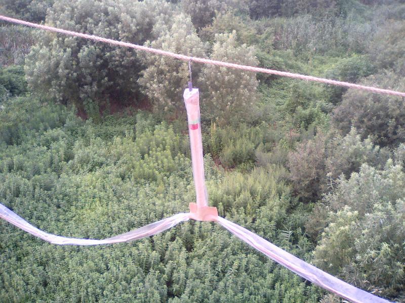 B03.jpg