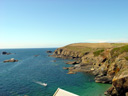 LizardPoint2