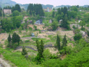 Niigata0527115