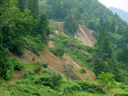 Niigata0716104