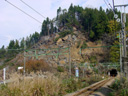 Niigata1114102