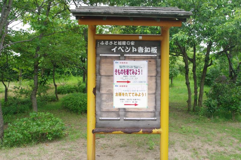 C02.jpg